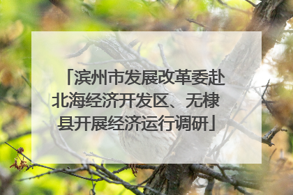 滨州市发展改革委赴北海经济开发区、无棣县开展经济运行调研