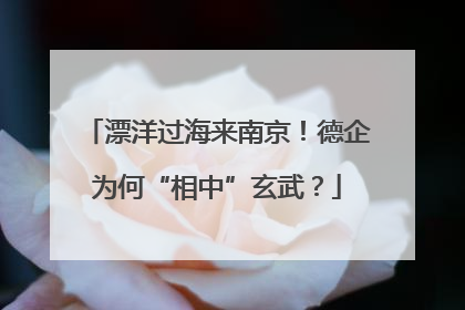 漂洋过海来南京！德企为何“相中”玄武？