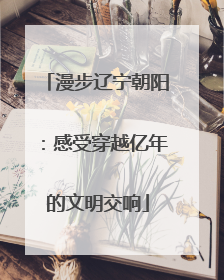 漫步辽宁朝阳：感受穿越亿年的文明交响