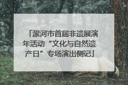 漯河市首届非遗展演年活动“文化与自然遗产日”专场演出侧记