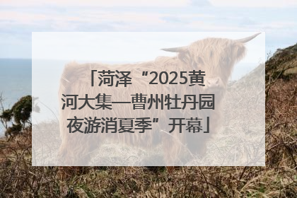 菏泽“2025黄河大集—曹州牡丹园夜游消夏季”开幕