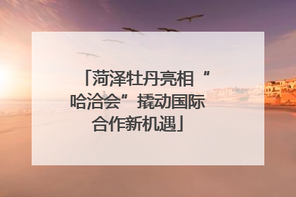 菏泽牡丹亮相“哈洽会”撬动国际合作新机遇