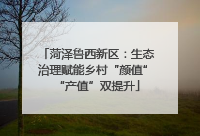菏泽鲁西新区：生态治理赋能乡村“颜值”“产值”双提升