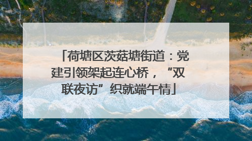 荷塘区茨菇塘街道：党建引领架起连心桥，“双联夜访”织就端午情