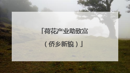 荷花产业助致富（侨乡新貌）