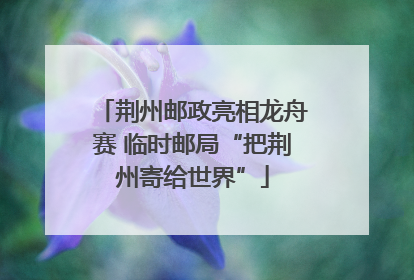 荆州邮政亮相龙舟赛 临时邮局“把荆州寄给世界”