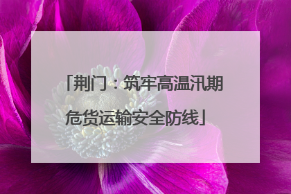 荆门：筑牢高温汛期危货运输安全防线