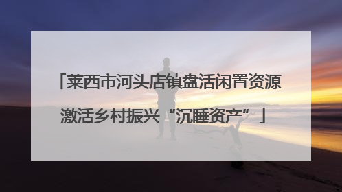 莱西市河头店镇盘活闲置资源 激活乡村振兴“沉睡资产”