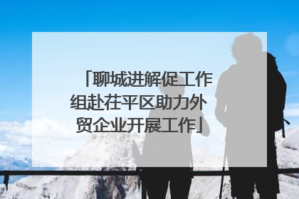 聊城进解促工作组赴茌平区助力外贸企业开展工作