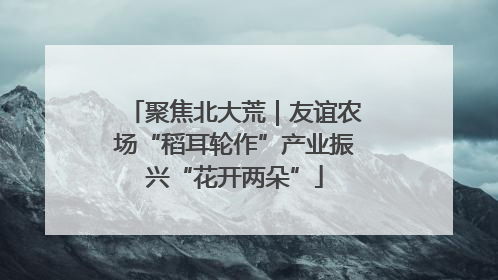 聚焦北大荒｜友谊农场“稻耳轮作”产业振兴“花开两朵”