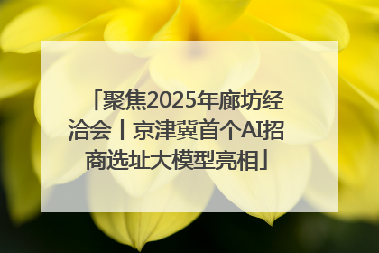 聚焦2025年廊坊经洽会丨京津冀首个AI招商选址大模型亮相