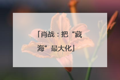 肖战：把“藏海”最大化