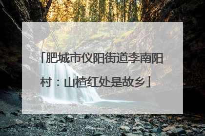 肥城市仪阳街道李南阳村：山楂红处是故乡