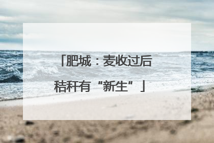 肥城：麦收过后秸秆有“新生”