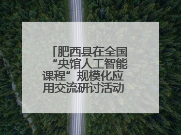 肥西县在全国“央馆人工智能课程”规模化应用交流研讨活动作交流发言