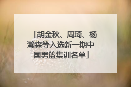胡金秋、周琦、杨瀚森等入选新一期中国男篮集训名单