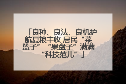良种、良法、良机护航夏粮丰收 居民“菜篮子”“果盘子”满满“科技范儿”