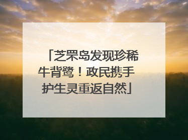 芝罘岛发现珍稀牛背鹭！政民携手护生灵重返自然