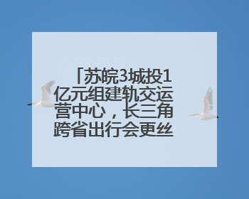 苏皖3城投1亿元组建轨交运营中心，长三角跨省出行会更丝滑吗？