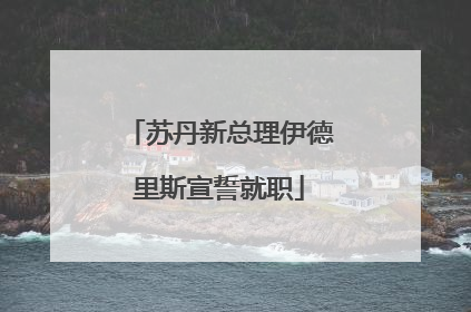 苏丹新总理伊德里斯宣誓就职