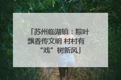 苏州临湖镇：粽叶飘香传文明 村村有“戏”树新风