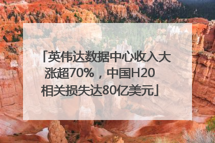 英伟达数据中心收入大涨超70%，中国H20相关损失达80亿美元