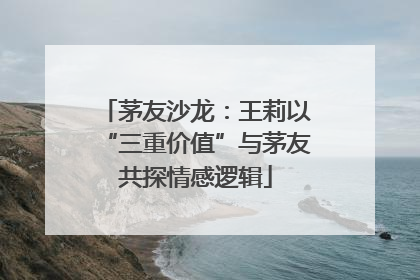 茅友沙龙：王莉以“三重价值”与茅友共探情感逻辑