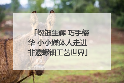 螺钿生辉 巧手缀华 小小媒体人走进非遗螺钿工艺世界