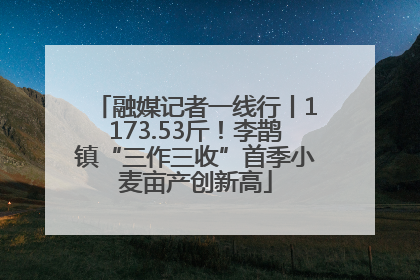 融媒记者一线行丨1173.53斤！李鹊镇“三作三收”首季小麦亩产创新高
