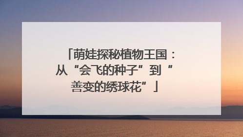 萌娃探秘植物王国：从“会飞的种子”到“善变的绣球花”