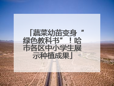 蔬菜幼苗变身“绿色教科书”！哈市各区中小学生展示种植成果