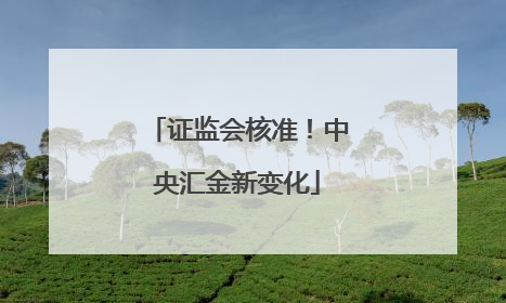 证监会核准！中央汇金新变化
