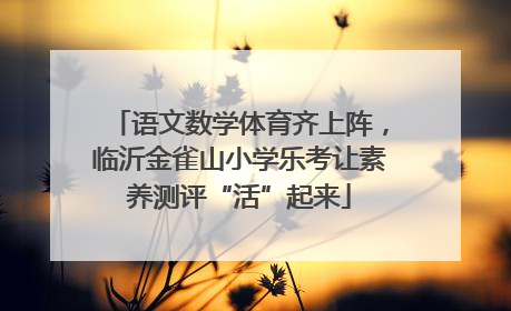 语文数学体育齐上阵，临沂金雀山小学乐考让素养测评“活”起来