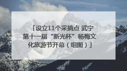 设立11个采摘点 武宁第十一届“新光杯”杨梅文化旅游节开幕（组图）