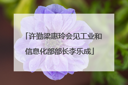 许勤梁惠玲会见工业和信息化部部长李乐成