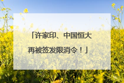 许家印、中国恒大再被签发限消令！
