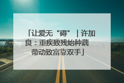 让爱无“碍”｜许加良：重疾致残始种藕 带动致富靠双手