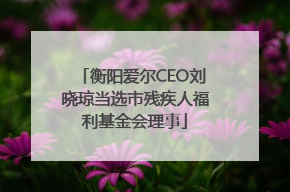 衡阳爱尔CEO刘晓琼当选市残疾人福利基金会理事