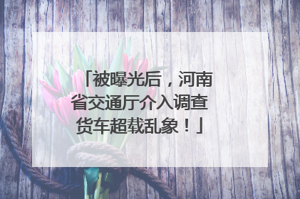 被曝光后，河南省交通厅介入调查货车超载乱象！