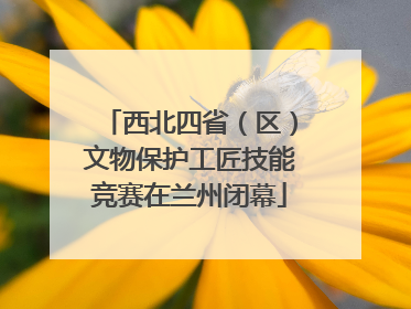西北四省（区）文物保护工匠技能竞赛在兰州闭幕