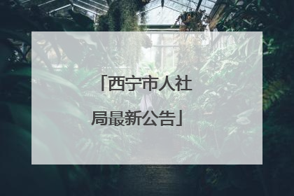 西宁市人社局最新公告