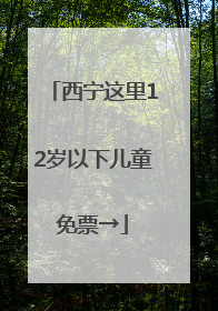 西宁这里12岁以下儿童免票→