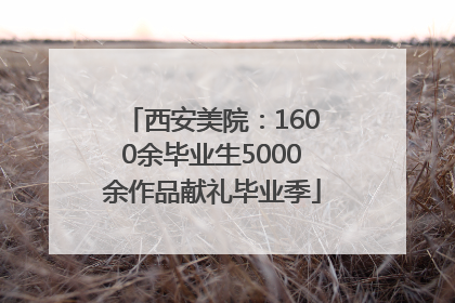 西安美院：1600余毕业生5000余作品献礼毕业季