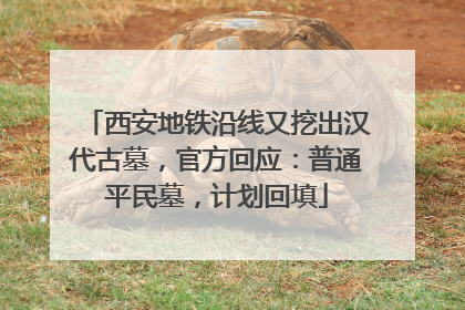 西安地铁沿线又挖出汉代古墓，官方回应：普通平民墓，计划回填