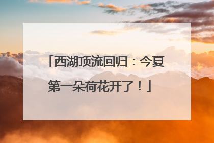 西湖顶流回归：今夏第一朵荷花开了！