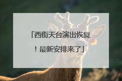 西街天台演出恢复！最新安排来了