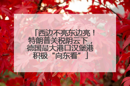 西边不亮东边亮！特朗普关税阴云下，德国最大港口汉堡港积极“向东看”