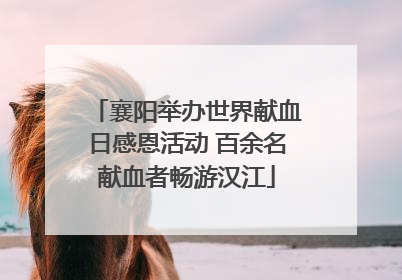 襄阳举办世界献血日感恩活动 百余名献血者畅游汉江