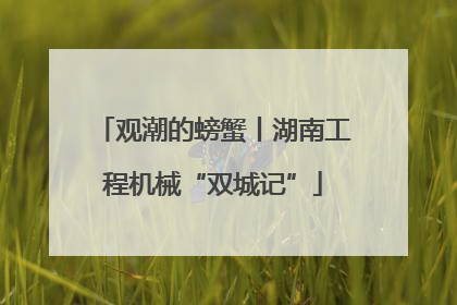 观潮的螃蟹丨湖南工程机械“双城记”