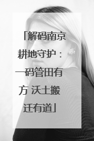 解码南京耕地守护：一码管田有方 沃土搬迁有道